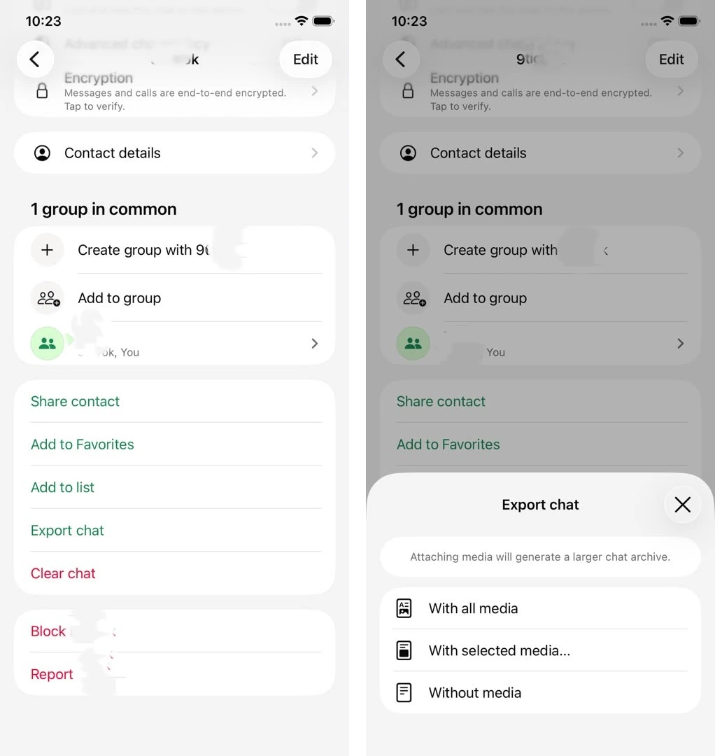 The iPhone Export Chat entry and media choices