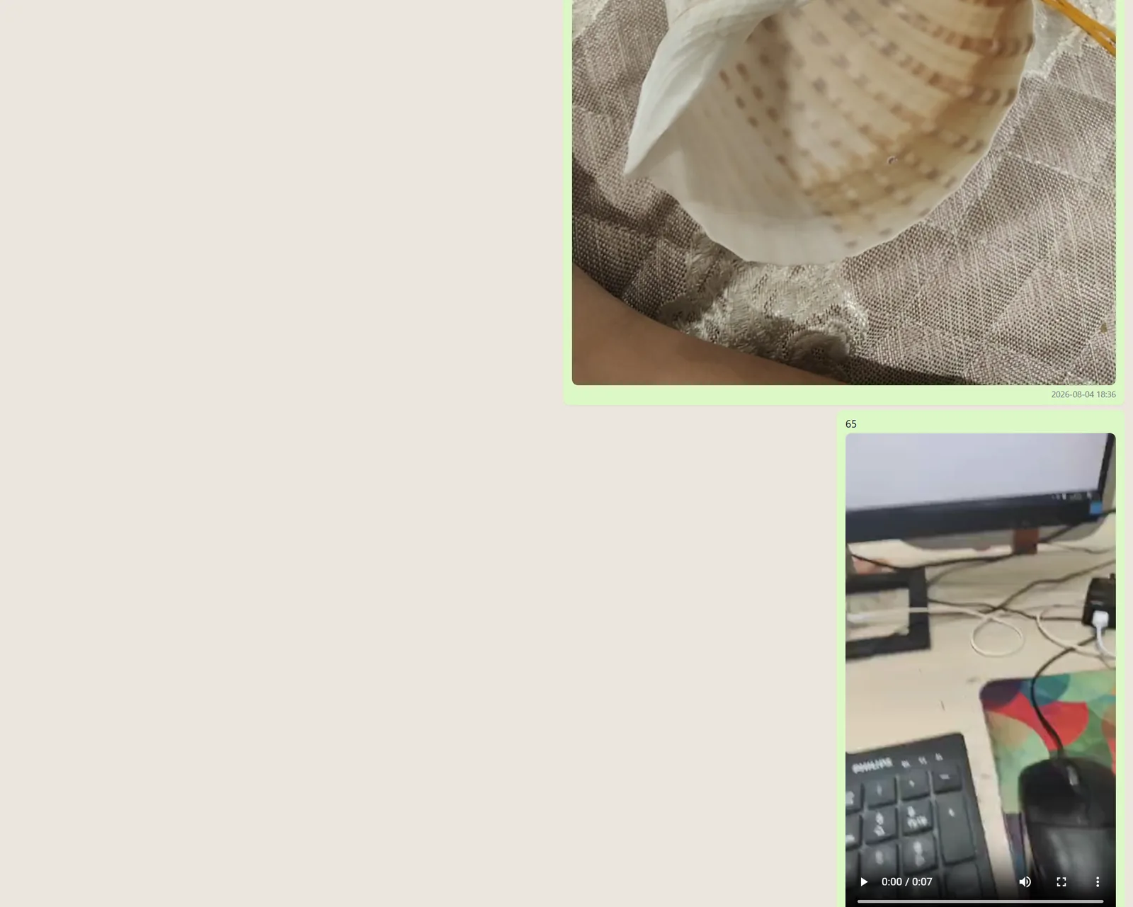 Exportierter Chat im Browser geöffnet