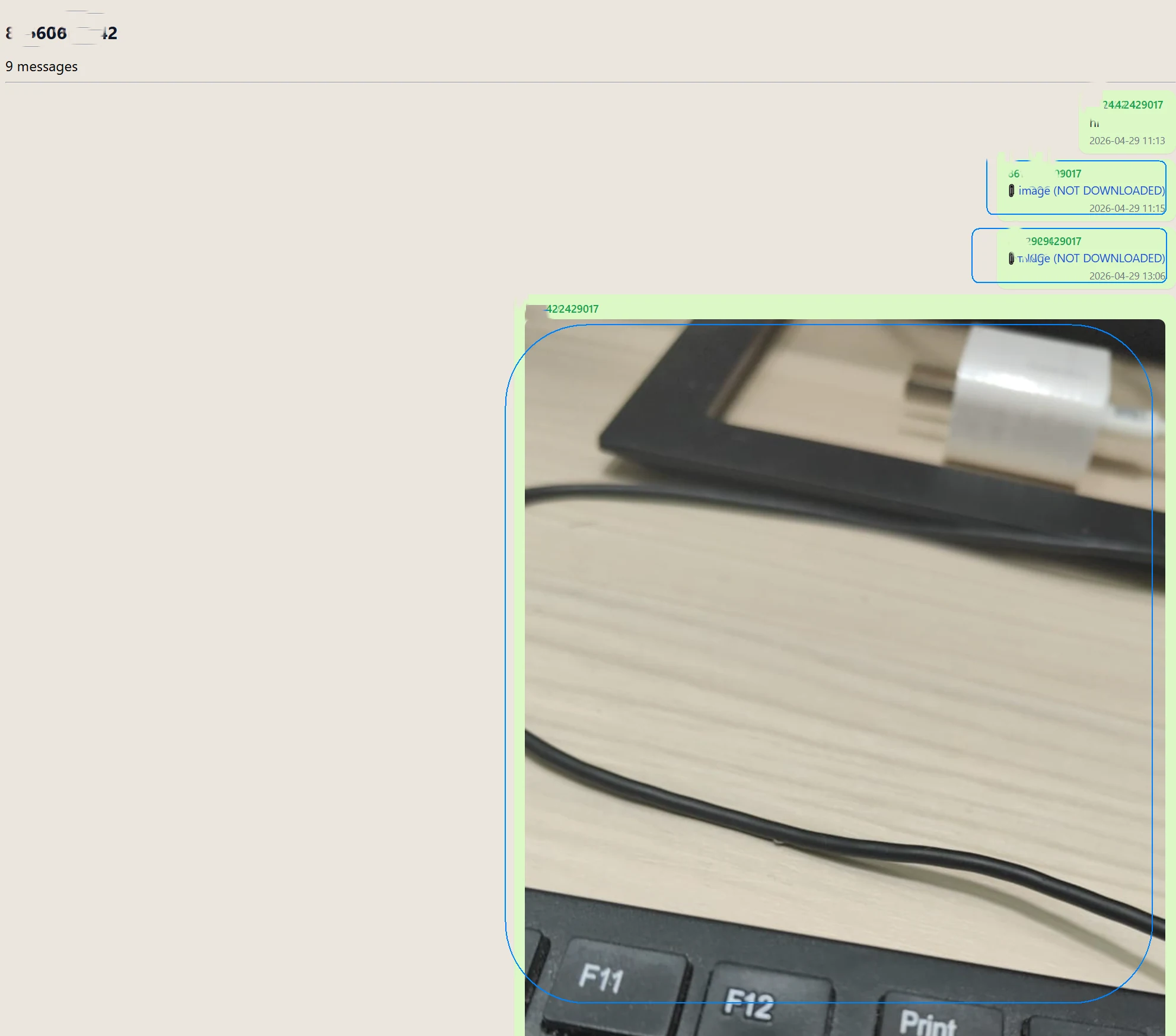 İki NOT DOWNLOADED etiketi ve bir görünür fotoğraf içeren dışa aktarım