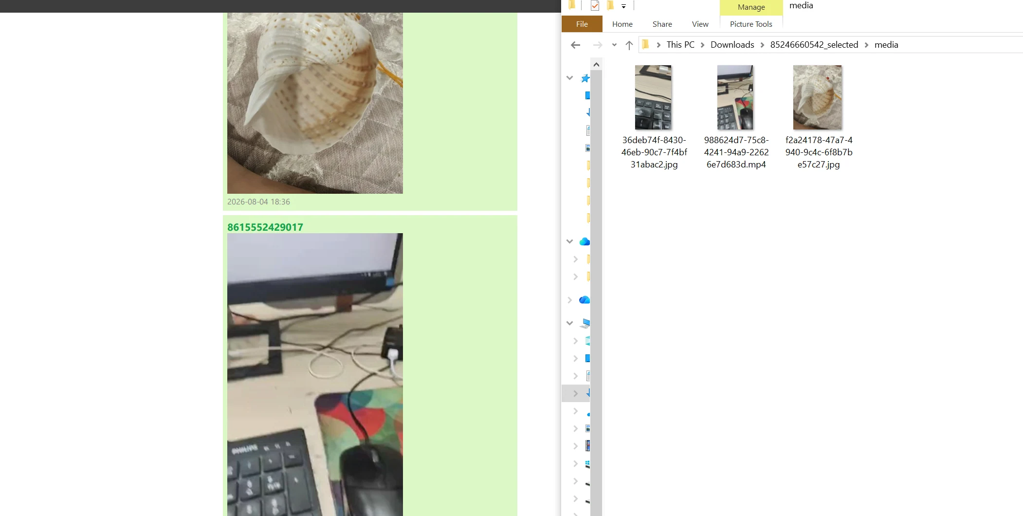 A PDF reading copy and accompanying media files
